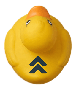 Scroll to top